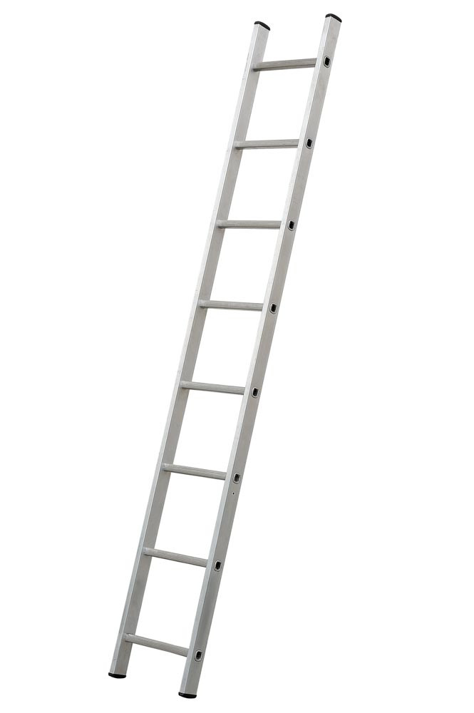 Scale Singole